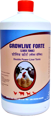 Liver Digestive Tonic Manufacturer Supplier Wholesale Exporter Importer Buyer Trader Retailer in Bangalore Karnataka India